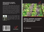 Zbiory pomimo szczepow Pseudomonas syringae pv. phaseolicola
