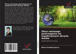 Sfera naiwnego postrzegania we wspolczesnym obrazie świata
