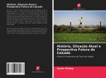 Historia, Situacao Atual e Prospectiva Futura do Calcado