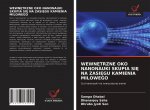 WewnĘtrzne Oko Nanonauki Skupia SiĘ Na ZasiĘgu Kamienia Milowego