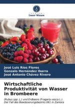Wirtschaftliche Produktivitat von Wasser in Brombeere