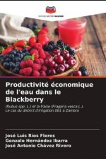Productivite economique de l'eau dans le Blackberry