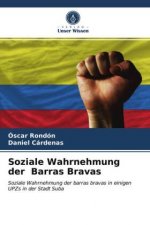 Soziale Wahrnehmung der Barras Bravas