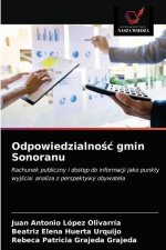 Odpowiedzialnośc gmin Sonoranu