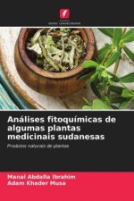 Analises fitoquimicas de algumas plantas medicinais sudanesas