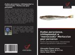 Kudoa peruvianus, ichtiopasożyt w morszczuku Merluccius gayi peruanus