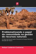Problematizando o papel da comunidade na gestao de recursos naturais