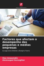 Factores que afectam o desempenho das pequenas e medias empresas