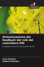Sintonizzazione del feedback del rele del controllore PID
