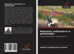 Najwyższy roślinożerca w geoekologii