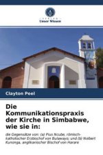 Kommunikationspraxis der Kirche in Simbabwe, wie sie in