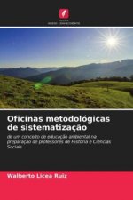 Oficinas metodologicas de sistematizacao