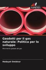 Gasdotti per il gas naturale