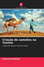 Criacao de camelins na Tunisia