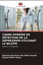 Cadre Hybride de Detection de la Depression Utilisant Le Bilstm
