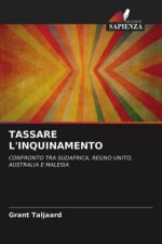 Tassare l'Inquinamento