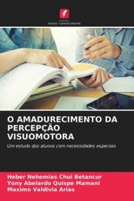 O Amadurecimento Da Percepcao Visuomotora