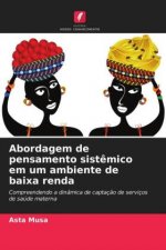 Abordagem de pensamento sistemico em um ambiente de baixa renda