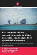 Rastreamento celular convectivo atraves da Visao Computadorizada baseada no Aprendizado Profundo