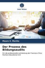 Prozess des Bildungsaudits