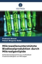 Mikrowellenunterstutzte Biodieselproduktion durch Mikroalgenlipide