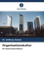 Organisationskultur