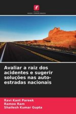 Avaliar a raiz dos acidentes e sugerir solucoes nas auto-estradas nacionais