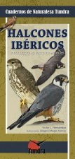 HALCONES IBÈRICOS