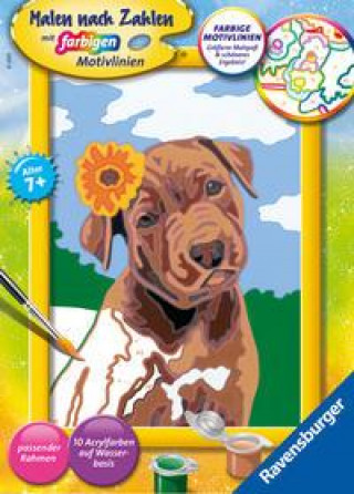 Ravensburger Malen nach Zahlen 28943 - Bester Freund - Kinder ab 7