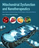 Mitochondrial Dysfunction and Nanotherapeutics