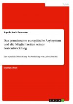 Das gemeinsame europäische Asylsystem und die Möglichkeiten seiner Fortentwicklung