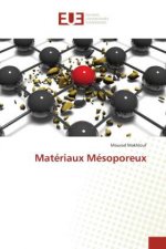 Matériaux Mésoporeux