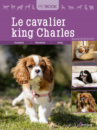 Le cavalier king Charles