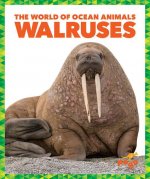 Walruses