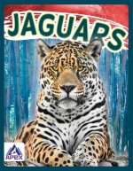 Wild Cats: Jaguars
