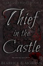 Thief in the Castle