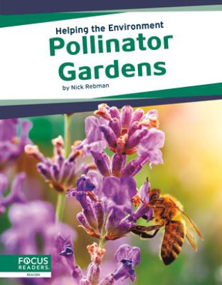 Helping the Environment: Pollinator Gardens