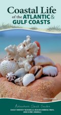 Coastal Life of the Atlantic and Gulf Coasts