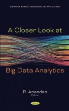 Closer Look at Big Data Analytics