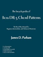 Encyclopedia of Boss Dr-5 Chord Patterns