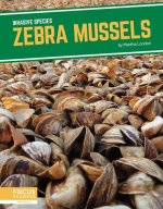 Invasive Species: Zebra Mussels