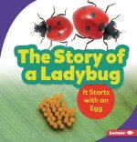 The Story of a Ladybug: It Starts with an Egg