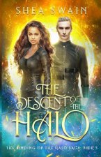 Descent of the Halo