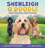 Shenleigh O'Doodle, Half Golden, Half Poodle