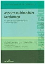 Aspekte Multimodaler Kurzformen