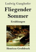 Fliegender Sommer (Grossdruck)