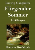 Fliegender Sommer (Grossdruck)
