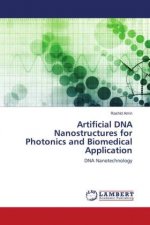Artificial DNA Nanostructures for Photonics and Biomedical Application