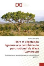 Flore et vegetation ligneuse a la peripherie du parc national de Waza (Cameroun)