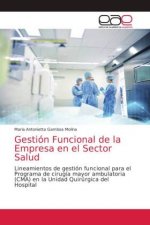 Gestion Funcional de la Empresa en el Sector Salud